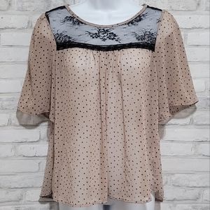 Paper Crane Lace Panel Polka Dot Sheer Chiffon Blouse Size M